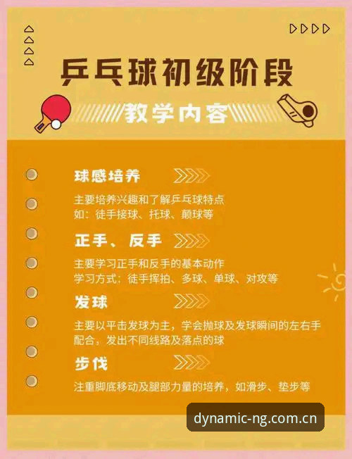 NG体育最新版下载 新手必看!资深用户分享NG体育最新版下载的完整使用心得与实战经验